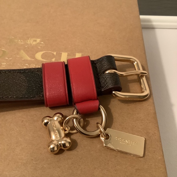 COACH Brown & Apple Red Signature Dog Collar Sz Small 9.5” - 11.5” BNWT - Picture 6 of 8